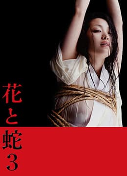 花与蛇3 - 日本伦理 (2010) 海报