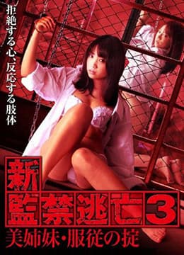 新监禁逃亡3：美姐妹服从守则 - 日本伦理 (2010) 海报