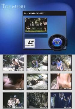 淫龙斗娇凤 - 港台三级 (1980) 海报