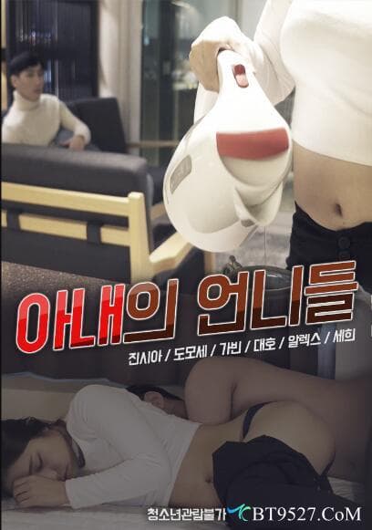 妻子的姐妹们 - 韩国伦理 (2020) 海报