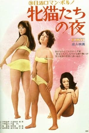 性感野猫之夜 - 日本伦理 (1972) 海报