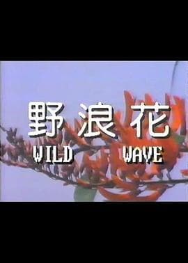 野浪花 - 港台三级 (1987) 海报