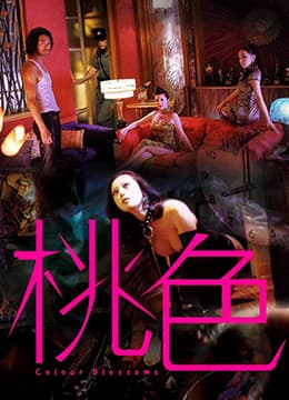 桃色 - 港台三级 (2004) 海报