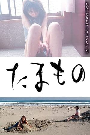 便当 - 日本伦理 (2004) 海报