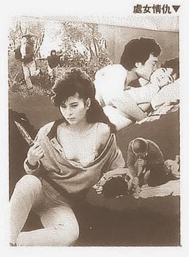 处女情仇 - 港台三级 (1988) 海报