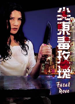 93夜之女 - 港台三级 (1993) 海报