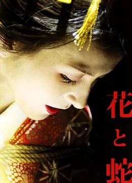 花与蛇2004 - 伦理 (2004) 海报
