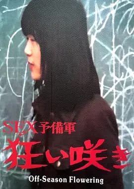 淡季花开 - 日本伦理 (1973) 海报