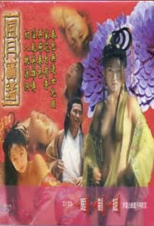 风月宝鉴之初入桃源洞 - 港台三级 (1999) 海报