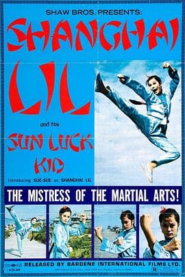 豪客国语 - 动作片 (1973) 海报