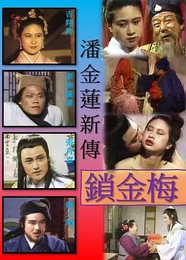 锁金梅 - 港台三级 (1993) 海报