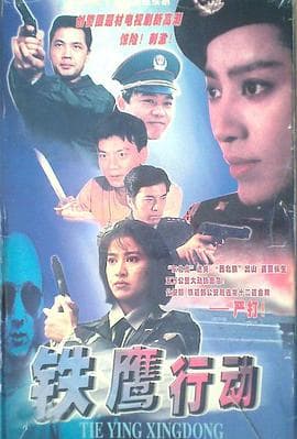 铁鹰行动 - 国产剧 (1995) 海报