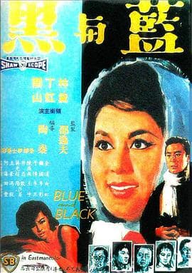蓝与黑1966国语 - 剧情片 (1966) 海报