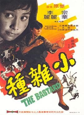 小杂种国语 - 动作片 (1973) 海报