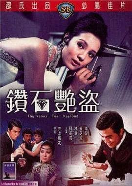 钻石艳盗国语 - 剧情片 (1971) 海报