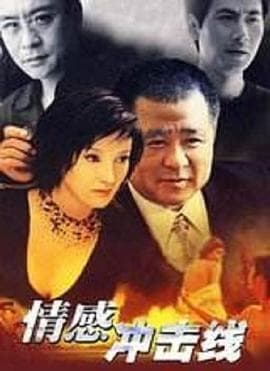 情感冲击线 - 国产剧 (2002) 海报