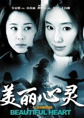 美丽心灵2004 - 国产剧 (2004) 海报