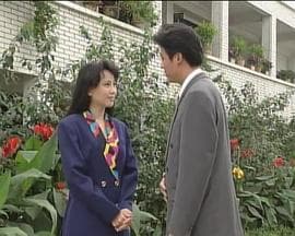 走出雨季 - 国产剧 (1994) 海报