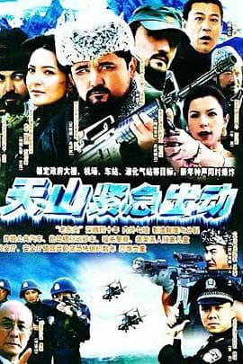 天山紧急出动 - 国产剧 (2004) 海报