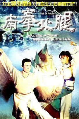 南拳北腿国语 - 港剧 (1995) 海报