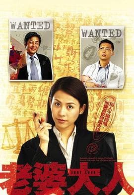老婆大人国语 - 港剧 (2005) 海报