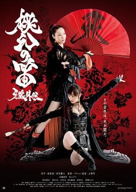 牙狼外传：桃幻之笛 - 动作片 (2013) 海报