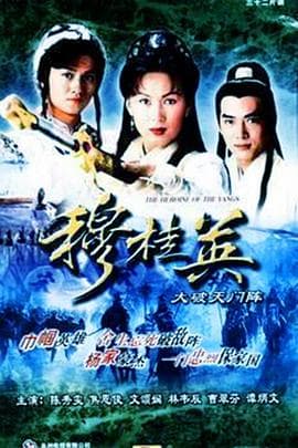 穆桂英之大破天门阵国语 - 港剧 (1998) 海报