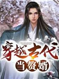 穿越古代当赘婿 - 爽文短剧 (2023) 海报