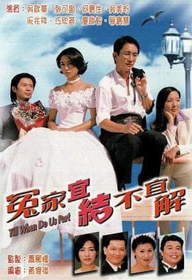 冤家宜结不宜解国语 - 港剧 (1998) 海报