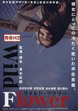 青春H2之狂野之花 - 日本伦理 (2011) 海报