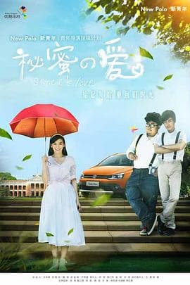 秘密的爱 - 爱情片 (2014) 海报