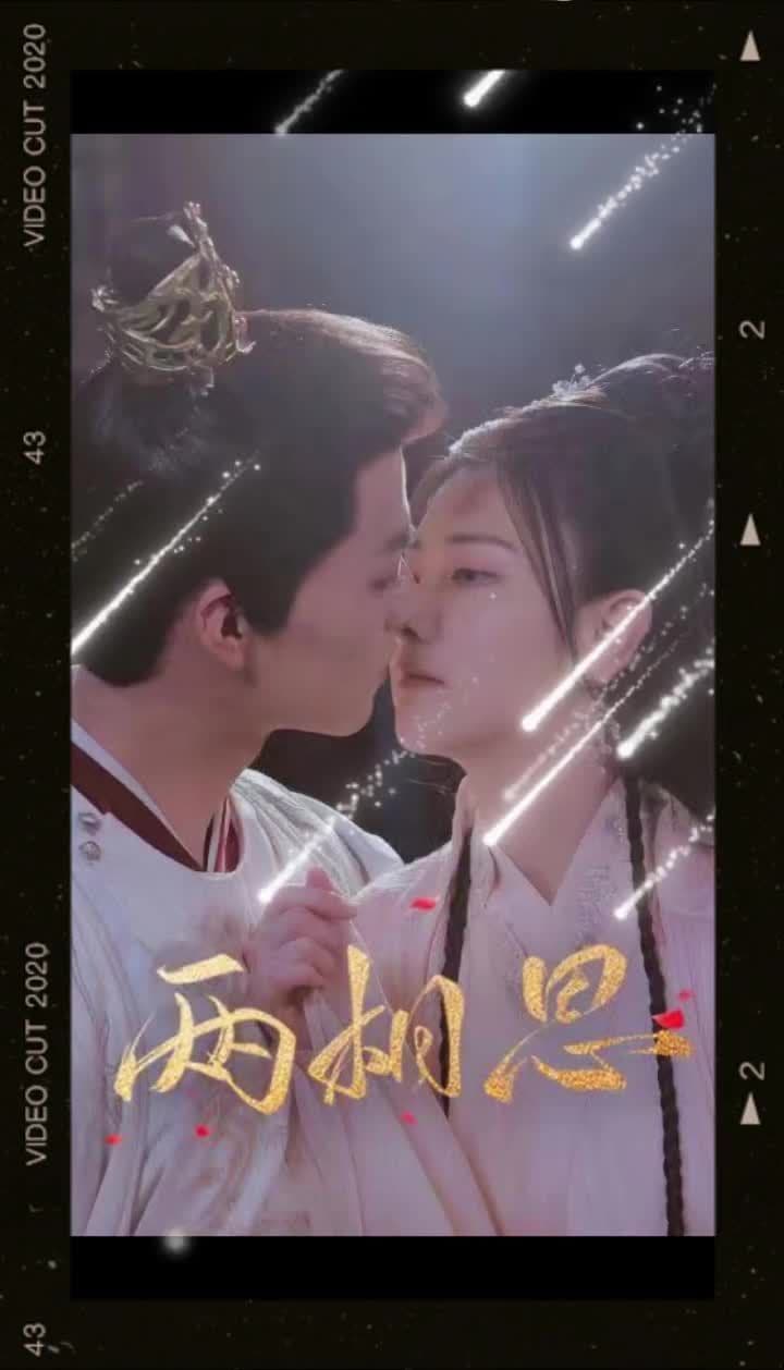 两相思 - 爽文短剧 (2023) 海报