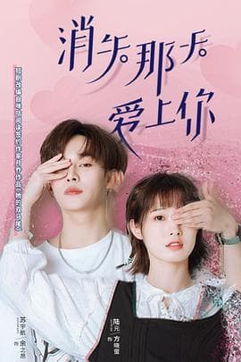 消失那天爱上你 - 爱情片 (2022) 海报