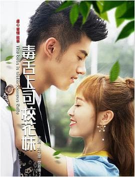 毒舌上司校花妹 - 爱情片 (2017) 海报