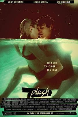 毛绒 - 西方伦理 (2013) 海报