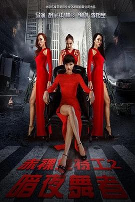 赤裸女特工2暗夜舞者 - 动作片 (2016) 海报