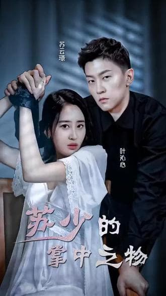 苏少的掌中之物 - 爽文短剧 (2023) 海报