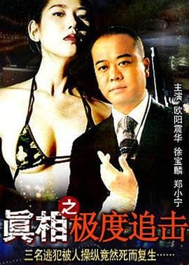 真相之极度追击 - 动作片 (1993) 海报