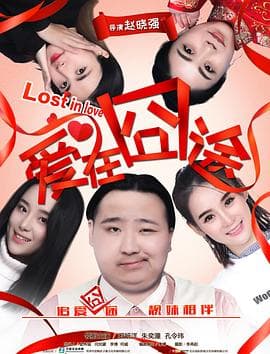 爱在囧途 - 剧情片 (2017) 海报