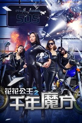 花花公主之千年魔方 - 动作片 (2017) 海报