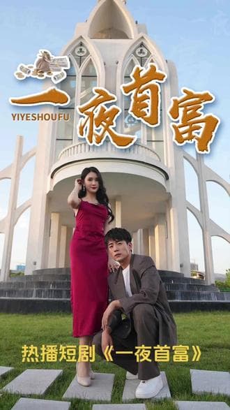 一夜首富 - 爽文短剧 (2023) 海报