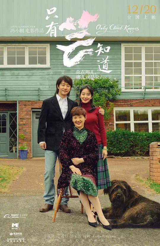 只有芸知道【影视解说】 - 影视解说 (2019) 海报