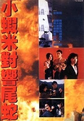 皇家师姐5中间人 - 动作片 (1990) 海报