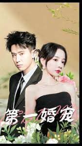 第一婚宠 - 爽文短剧 (2023) 海报