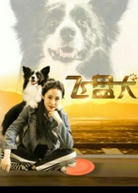 飞盘犬 - 剧情片 (2020) 海报