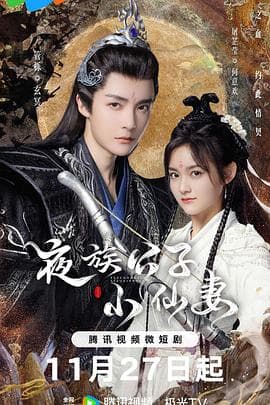 夜族公子小仙妻 - 国产剧 (2023) 海报