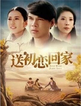 送初恋回家 - 剧情片 (2020) 海报