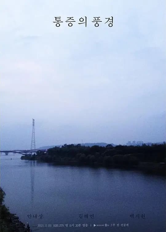 疼痛的风景【影视解说】 - 影视解说 (2021) 海报