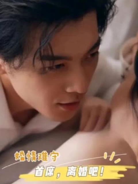 婚情难守：首席，离婚吧 - 爽文短剧 (2023) 海报