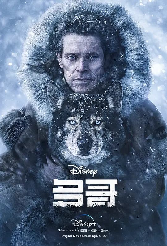 多哥【影视解说】 - 影视解说 (2019) 海报